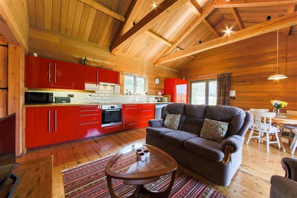 Cabin living room and kitchen